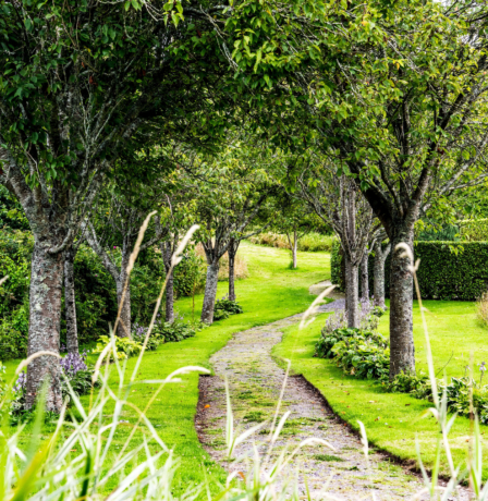 Lush garden path surrounded by trees at Fernhill House Hotel.