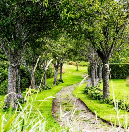 A scenic garden path lined with lush green trees at Fernhill House Hotel.