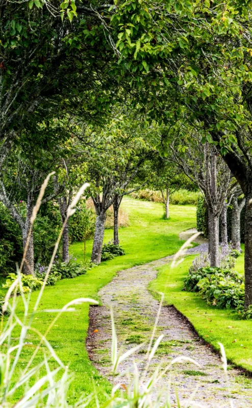 A scenic garden path lined with lush green trees at Fernhill House Hotel.