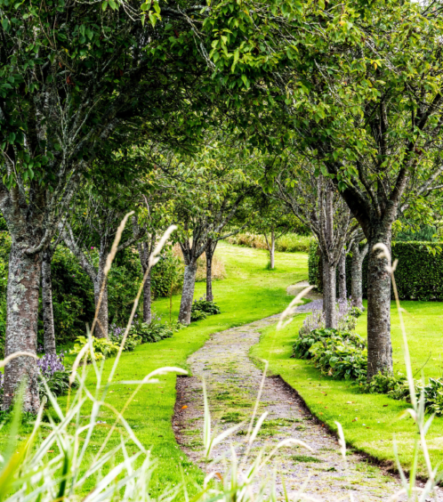 Lush garden path surrounded by trees at Fernhill House Hotel.