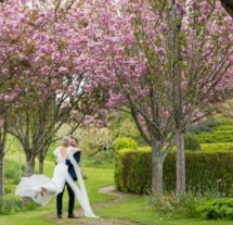 A couple embraces under blooming cherry blossoms at Fernhill House Hotel garden.