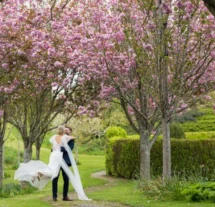 A newlywed couple embraces under blooming cherry blossoms in a lush garden at Fernhill House Hotel.