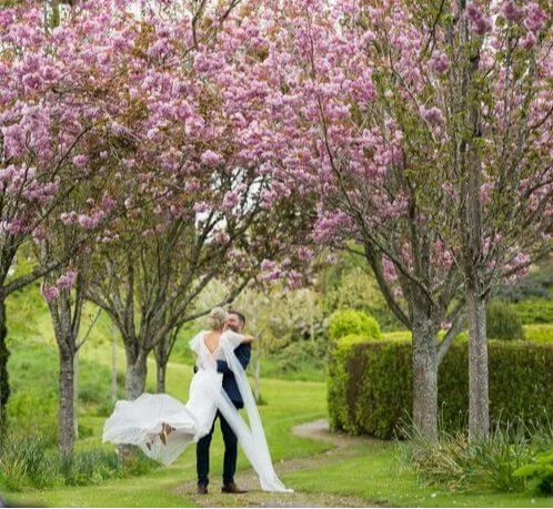 A newlywed couple embraces under blooming cherry blossoms in a lush garden at Fernhill House Hotel.