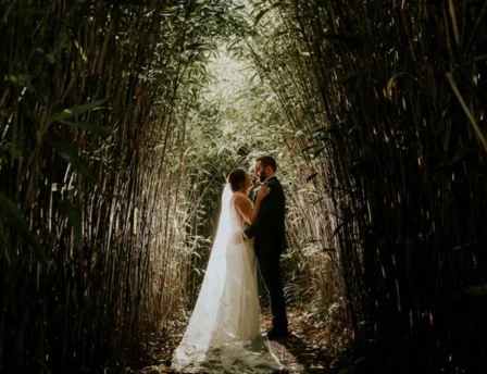 A couple embraces in a sunlit bamboo grove, creating a serene and romantic atmosphere.