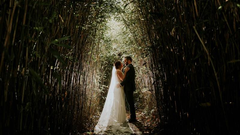 A couple embraces under a lush, sunlit bamboo archway at Fernhill House Hotel.