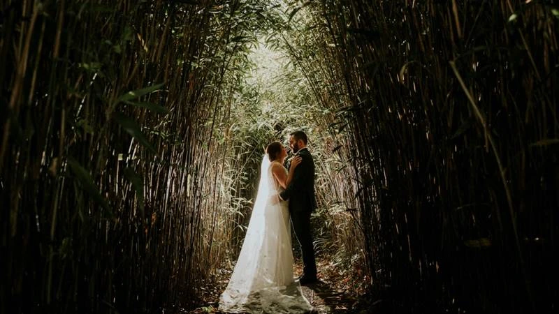 A couple embraces in a sunlit bamboo grove, creating a serene and romantic atmosphere.