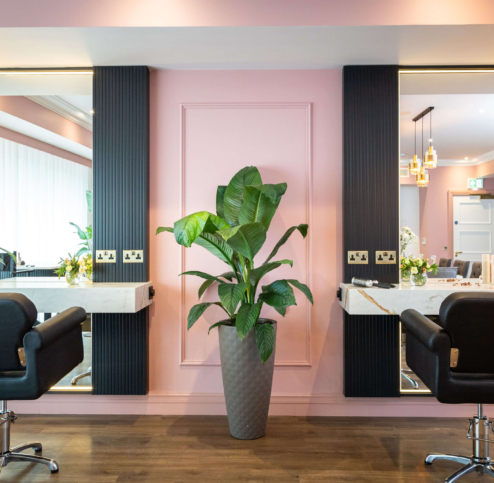 Elegant hotel salon with stylish chairs, large potted plant, and soft pink walls.