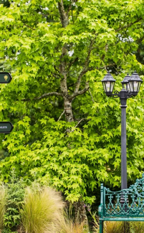 Charming garden with signpost and ornate bench at Fernhill House Hotel