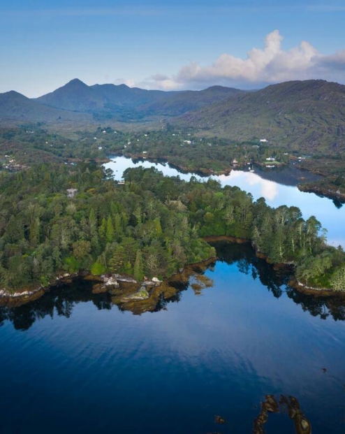 A serene lakeside landscape with lush greenery and distant mountains under a blue sky.
