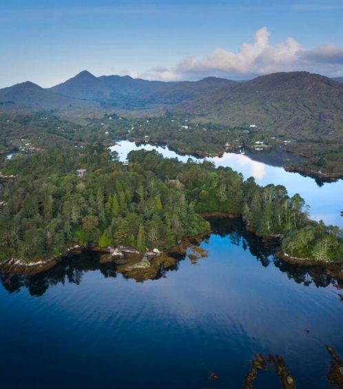 A serene lakeside landscape with lush greenery and distant mountains under a blue sky.
