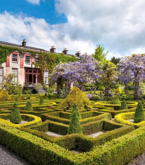 Family exploring lush gardens of Fernhill House Hotel, trimmed hedges, and blooming wisteria.