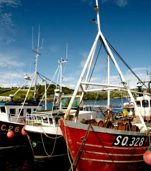 Scenic harbour view with fishing boats at Fernhill House Hotel.