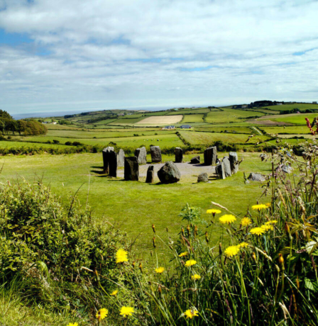 Family exploring a stone circle in lush countryside.