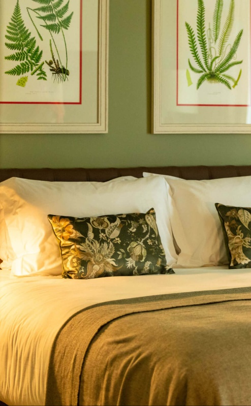 Cosy hotel room with a plush bed, fern artwork, and soft lighting.