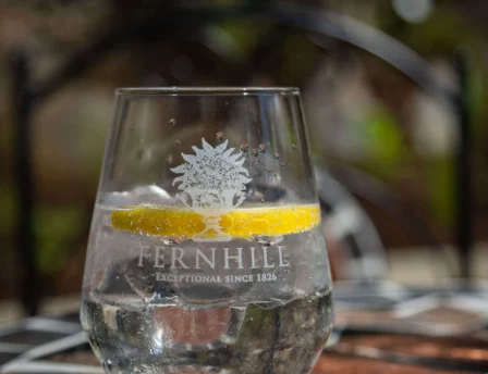 Close-up of Fernhill House Hotel glass with lemon slice on a sunny outdoor table.